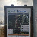 원주굽이길 2코스 700년노송길 | 원주굽이길 2코스 700년 노송길 (2025.11.24.)