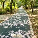 폴짝그루밍 이미지