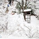 변스튜디오 이미지