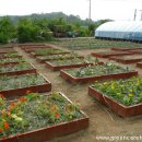 꿈이 자라는 나무 이미지