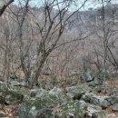 농업회사법인 유한회사 수연축산유통 | 조정석, 박민영, 야구선수 양현종 등 625명 국세청 모범납세자 2.1.까지 공개검증(명단 첨부)