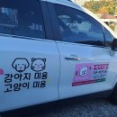 데이지꼼 - 김해시 주선로 89 | 데이지꼼