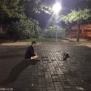 개인생활펫 이미지