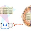 글라스바바안경원오산점 이미지