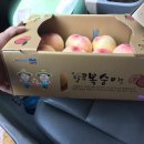 대건2농장 이미지