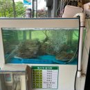 천생산아구찜 이미지