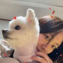 아지공간 이미지