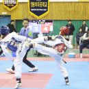 강진태권도체육관 이미지