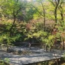 남산으로 이미지