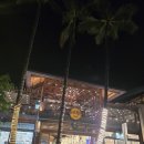 동양구내식당 | [하와이] 와이키키 맛집 솔직 후기 : Hard Rock Cafe 하드락카페, 마루카메 우동🎸🧡