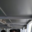 현대자동차봉화점 | kt 위즈전 간략후기 (2019.04.13, 대구삼성라이온즈파크)