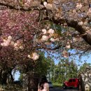 선흘1리 경로당 이미지