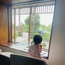 낭그늘 펜션 | 3살 아기랑 제주도 일주일살기 | 에어비앤비 낭그늘 6박 125만원 후기 (저상침대·욕조 있는 숙소)