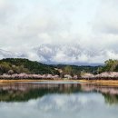 앞산 맛둘레길 경관 이미지