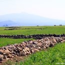 가파초등학교 이미지