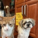 옥돌PC방 이미지