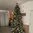 사과집민박 이미지