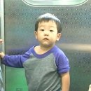 서준글로벌