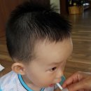 상하희망목장 이미지