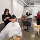 새서울미용실 이미지