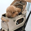 맥스켄넬 | 강아지 유모차 소형견 애견유모차 로얄테일즈 글로리아 미니