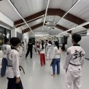 용인대 서부태권도장 이미지