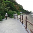 인디코리아 이미지