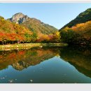 백양사 이미지