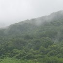 남해-165 이미지