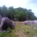 축산농협미래부연합사료 이미지