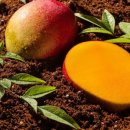 길만농장 이미지