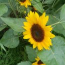 정원약국 이미지