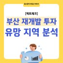 대연돈되는부동산공인중개사사무소 | 팩트체크! 부산 재개발 투자 유망 지역 분석 (사직롯데캐슬, 동래럭키, 삼익비치)