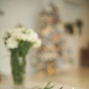 물들어간다는 것은 이미지