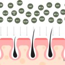 소안의원 이미지