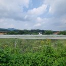 용인펜션 주원독채펜션에서 보낸 힐링 여행 후기! 🌳🏡