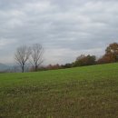 미루농장 이미지