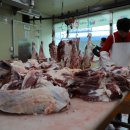 (주)소백산한우 이미지