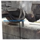 현대대형세차장 이미지