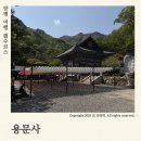 황토열매마을 | 양평 여행 필수코스 ‘용문사’ 서울 근교 무료 사찰 방문 후기 주말 나들이 당일치기 여행 주차