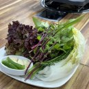 흑돼지수 이미지