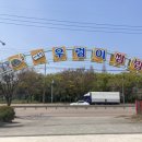 대통령우렁쌈밥