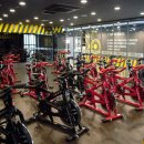 휘트니스풀바디 이미지