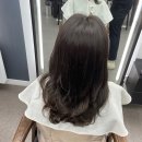 담쓰뮤직복싱 | 군산 수송동 미용실 살롱드엠 선우 원장 : ) 톤다운 염색 카키브라운 애쉬브라운 매트브라운 느낌