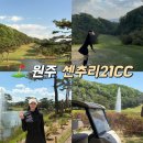 센추리21컨트리클럽 | 원주 센추리21cc 후기 마운틴 밸리 코스