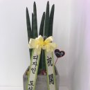 온리원필라테스