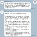 오르다스냅 | [제주] 오르다스냅 in 제주, 반려견 동반 커플 촬영 솔직 후기!