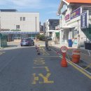 일성도색