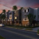 당근(carrot) 이미지