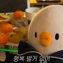 돈수백 이미지